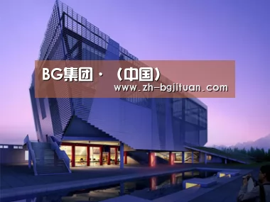 案例展示六(图1)