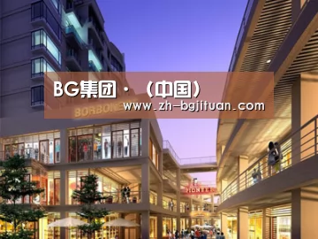 案例展示一(图1)