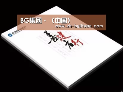 项目名称七