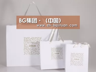 项目名称十一