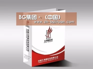 项目名称十三