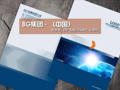项目名称十