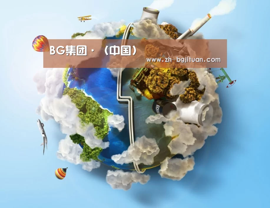 关于BG集团