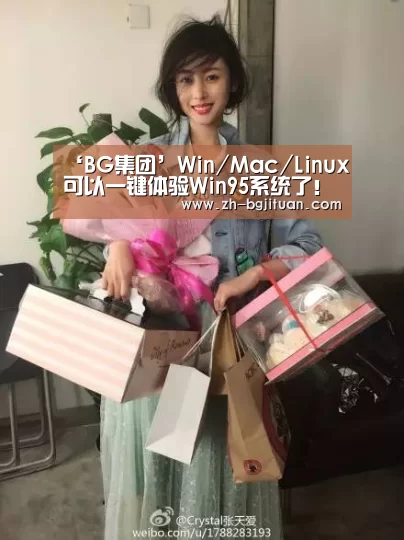 ‘BG集团’Win/Mac/Linux可以一键体验Win95系统了!(图1) BG集团