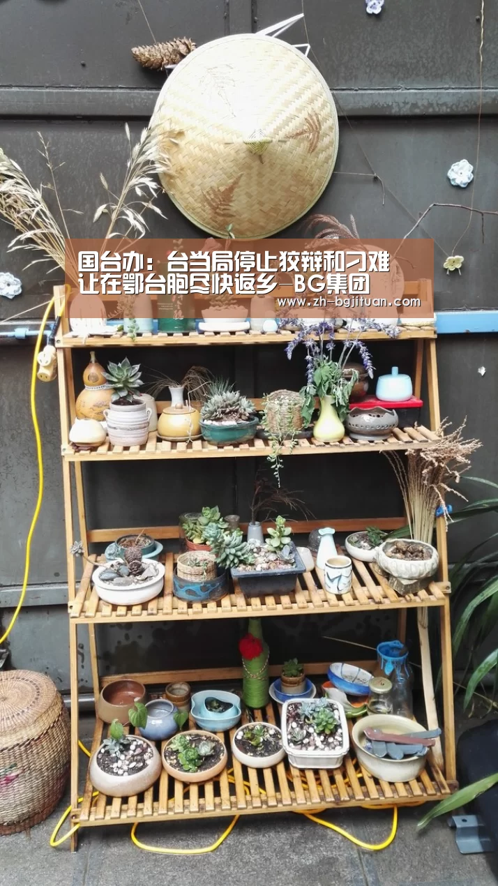 国台办:台当局停止狡辩和刁难 让在鄂台胞尽快返乡-BG集团(图1) BG集团