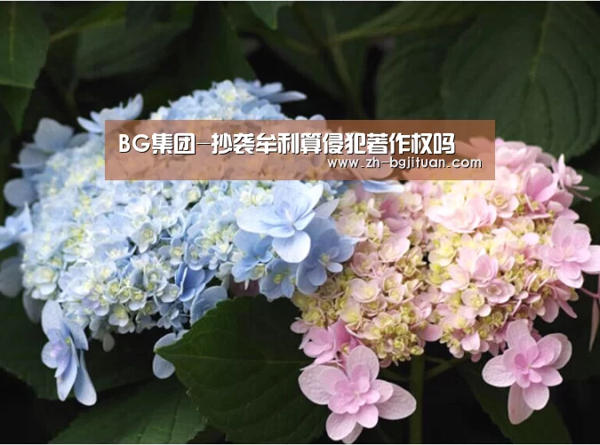 BG集团