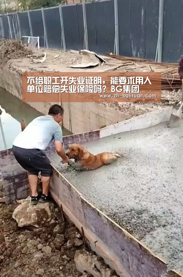 不给职工开失业证明，能要求用人单位赔偿失业保险吗?_BG集团