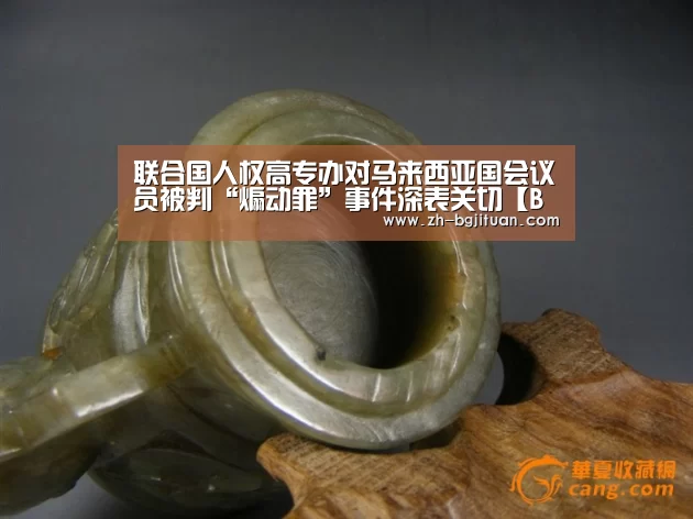 联合国人权高专办对马来西亚国会议员被判“煽动罪”事件深表关切【BG集团】(图2) BG集团