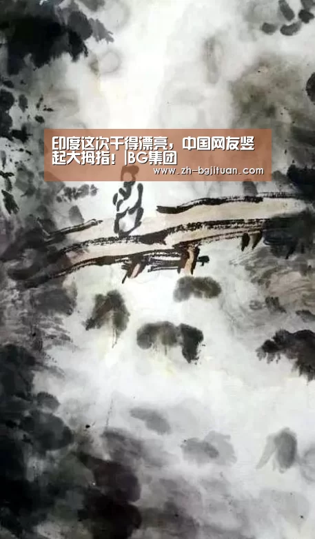 印度这次干得漂亮,中国网友竖起大拇指!|BG集团(图4) BG集团