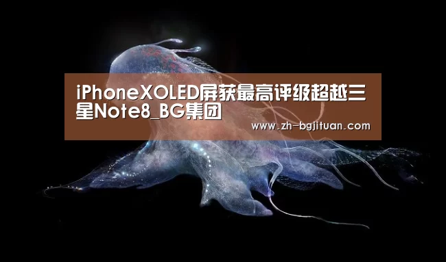 iPhoneXOLED屏获最高评级超越三星Note8_BG集团(图4) BG集团