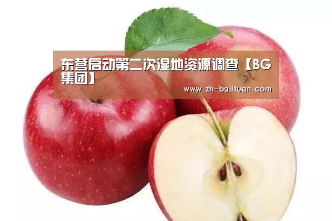东营启动第二次湿地资源调查【BG集团】(图3) BG集团