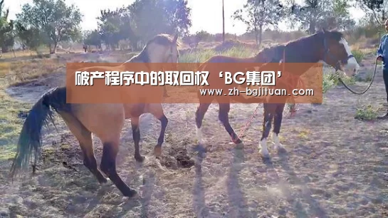BG集团