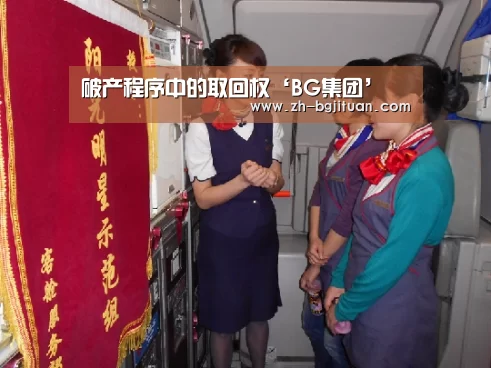 破产程序中的取回权‘BG集团’