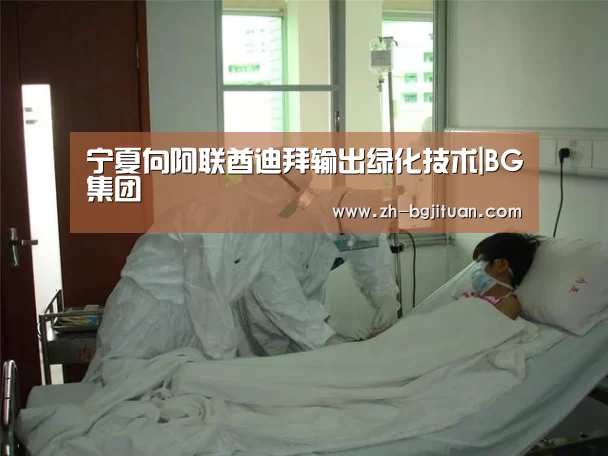 宁夏向阿联酋迪拜输出绿化技术|BG集团(图1) BG集团