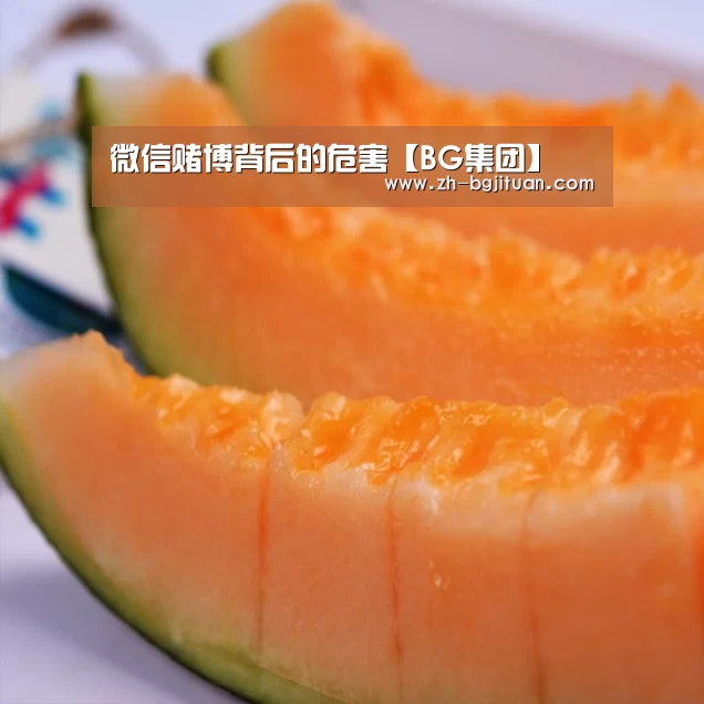 微信赌博背后的危害【BG集团】(图3) BG集团