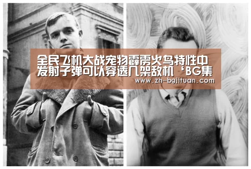 全民飞机大战宠物霹雳火鸟特性中发射子弹可以穿透几架敌机‘BG集团’(图1) BG集团