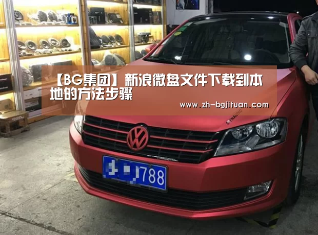 【BG集团】新浪微盘文件下载到本地的方法步骤(图3) BG集团