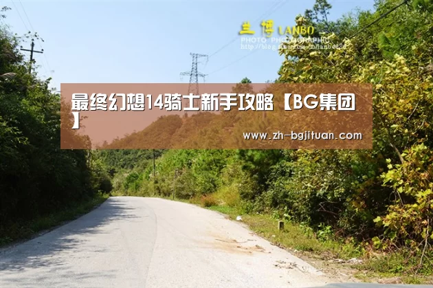 最终幻想14骑士新手攻略【BG集团】(图3) BG集团