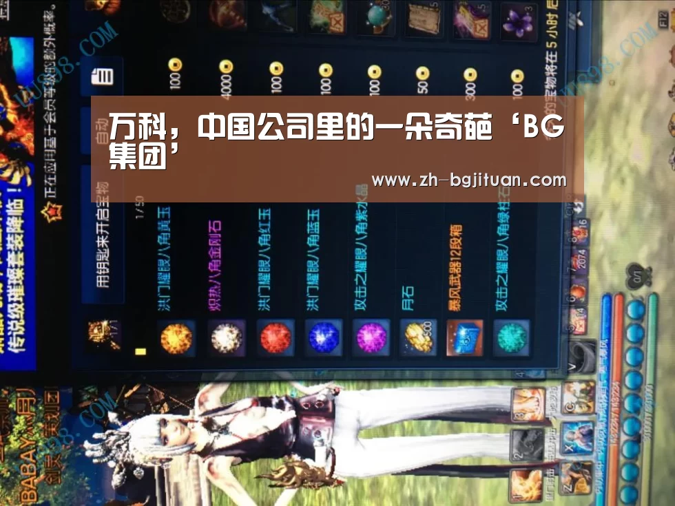 万科，中国公司里的一朵奇葩‘BG集团’
