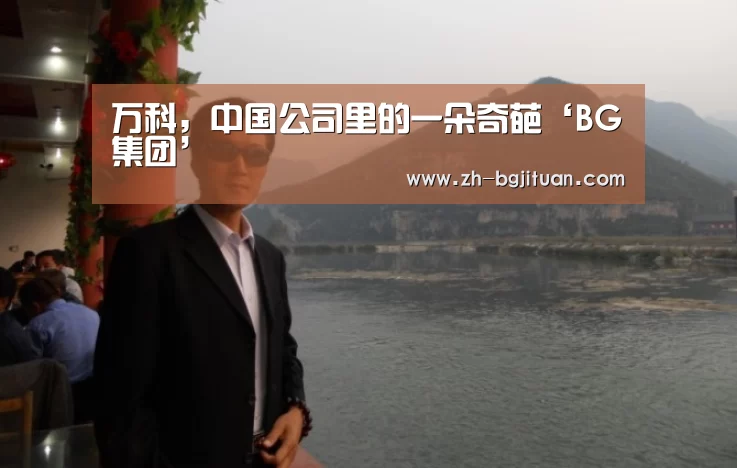万科,中国公司里的一朵奇葩‘BG集团’(图3) BG集团