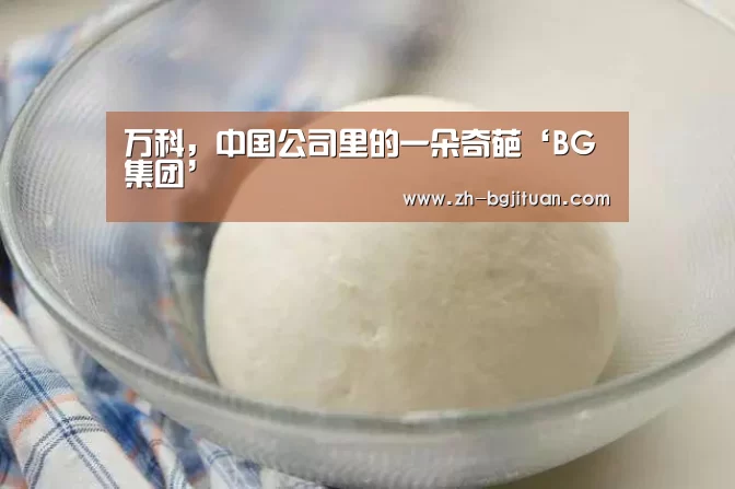 万科,中国公司里的一朵奇葩‘BG集团’(图2) BG集团