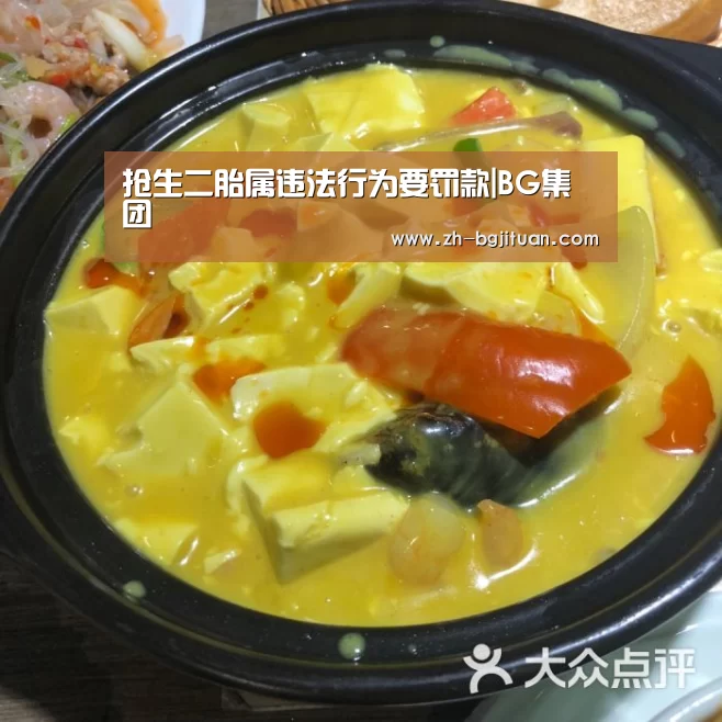 抢生二胎属违法行为要罚款|BG集团
