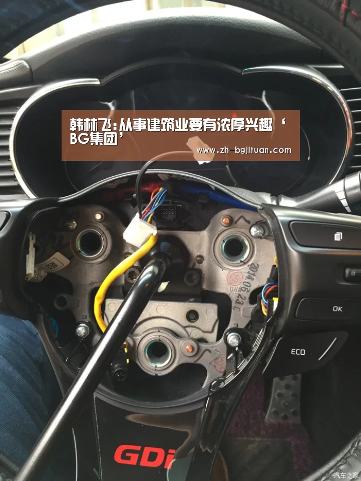 韩林飞:从事建筑业要有浓厚兴趣‘BG集团’(图1) BG集团