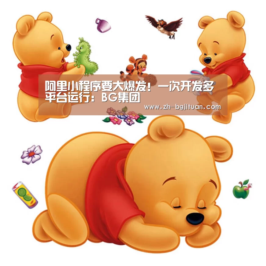 阿里小程序要大爆发!一次开发多平台运行:BG集团(图3) BG集团