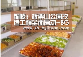铜陵:板栗山公园改造工程全面启动-BG集团(图1) BG集团