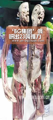 BG集团