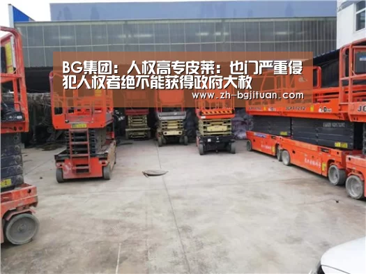 BG集团：人权高专皮莱：也门严重侵犯人权者绝不能获得政府大赦
