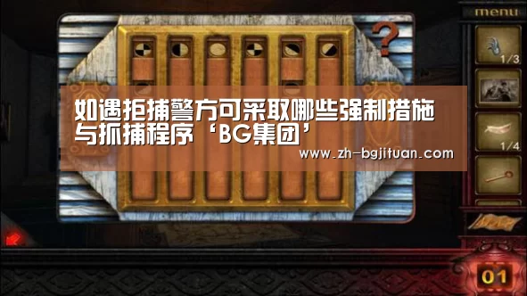 如遇拒捕警方可采取哪些强制措施与抓捕程序‘BG集团’