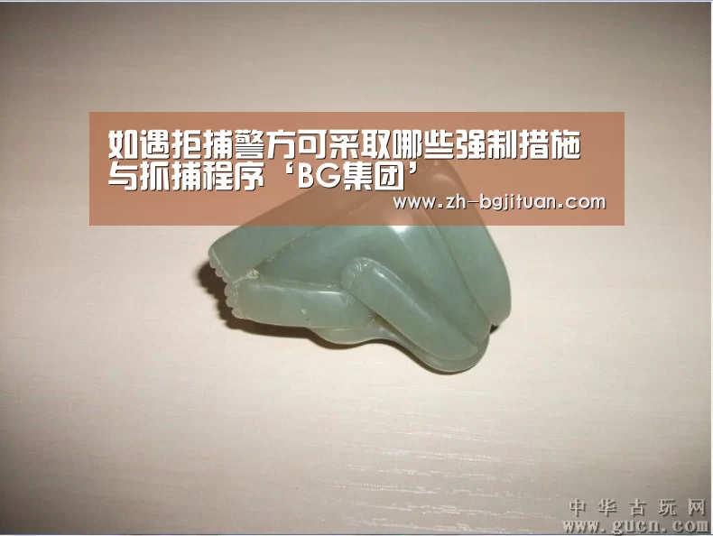 如遇拒捕警方可采取哪些强制措施与抓捕程序‘BG集团’(图2) BG集团
